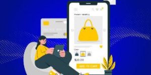 Ecommerce Software Developments Service