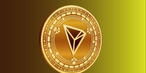Regular Support TRC20 Token Development Company