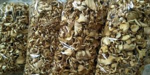 Dry Oyster Mushroom