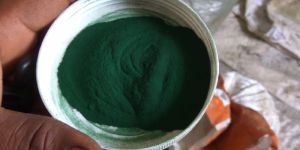 Spirulina Powder