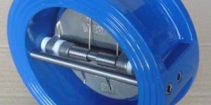 Dual Plate Check Valve