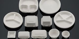 Bagasse Pulp Disposable Tableware Products