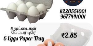 Off White Paper 6 Cavity Egg Box