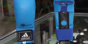 Karate Gloves