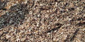 Veneer Wood Chips