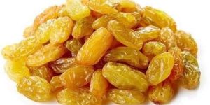 Golden Raisins