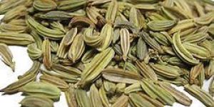 Fennel Oleoresin Oils