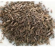 Oleoresin Cumin Seed