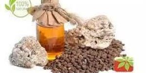 Ambrette Seed Oil