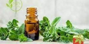 DEMENTHOLISED MINT OIL