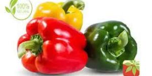 Paprika Oleoresin