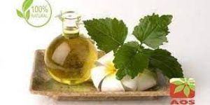 Patchouli Oil