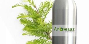 Cypress Essential Oil