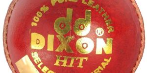 Dixon Leather Ball