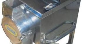 Tomato Ketchup Plant