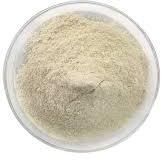 Lactobacillus Rhamnosus