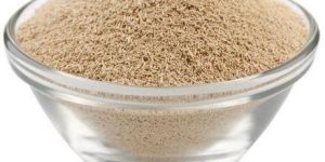 Saccharomyces Sereviceae