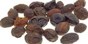Saw Palmetto Extract