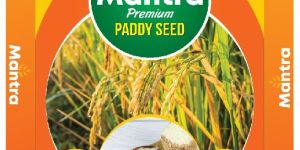 Multicolored Printed BOPP Laminated Bags