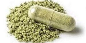 Andrographis Paniculata