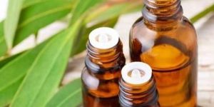 Eucalyptus Globulus Oil