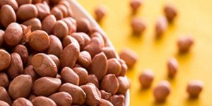 Groundnut