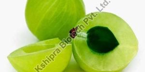 Amla Extract