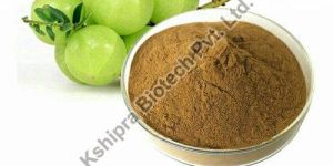 Amla (Phyllanthus Emblica) Extract