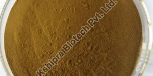 Echinacea Purpurea Extract