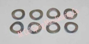 Curved Spring Washer