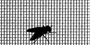 Mosquito Proof Screens
