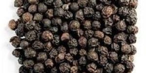 Black Pepper Seeds