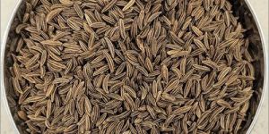 Cumin Seeds