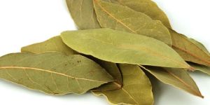 Dried Bay Leaf