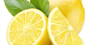 Fresh Lemon
