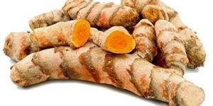 Fresh Turmeric Roots