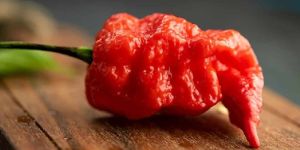 Ghost Pepper