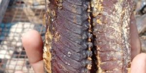 Tuna Dry Fish (Massi)