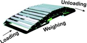 Roller Platform Scale