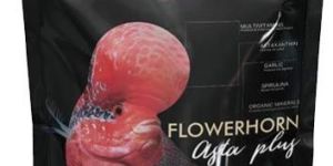 FLOWERHORN FOOD POUCH