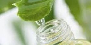 Aloe Vera Oil