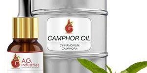 Camphor Oil