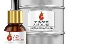 Geranium Absolute