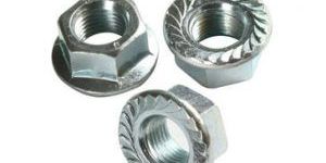 Flange Hex Nuts