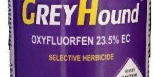 Oxyflourfen 23.5% EC Greyhound