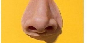 Silicone Nose Prosthesis