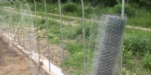 Stainless Steel Chicken Wire Mesh