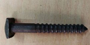 Coach Screw
