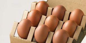 Egg Packaging Box