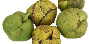 Fresh Elephant Apple